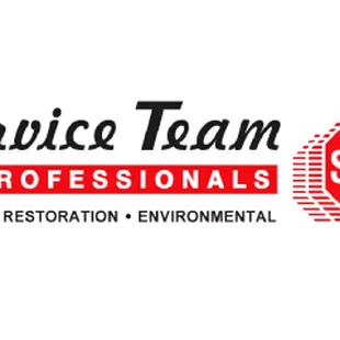 Service Team of Professionals