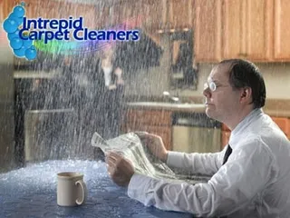 Intrepid Carpet Cleaners