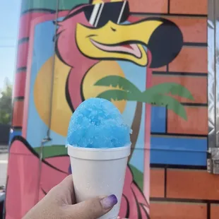Blue Raspberry and Coconut Shaved Ice