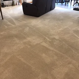 One of their excellent carpet cleaning jobs. Cat puke gone!