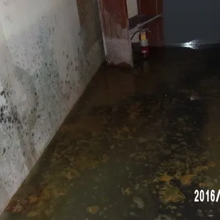 Commercial water/mold damage