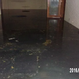 Commercial water/mold damage