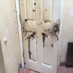 Don't let mold sneak up behind you or your door! This picture clearly shows how mold can quickly spread...