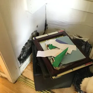 Mold is sneaky and may even hide in your closet! If you suspect any mold in your home, give us call for an inspection and removal.