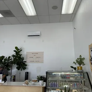 Counter and display case