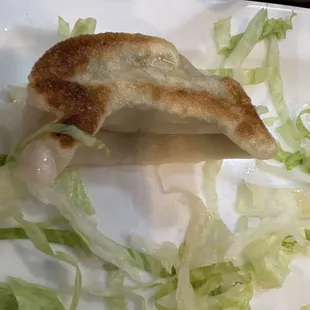 Pam fried pork dumpling.