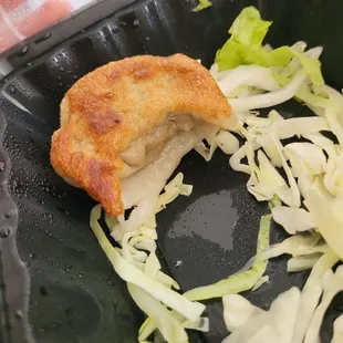 One lone pork fried dumpling after we ate the rest