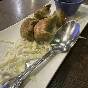 pan fried dumplings