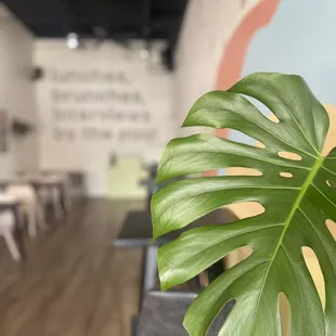a large leaf of a plant in the foreground