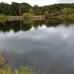 Stocked fishing pond.