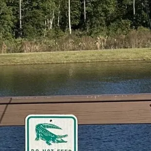 Do not feed the alligators!