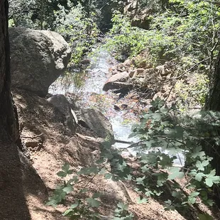 Lovely stream alongside the whole trail