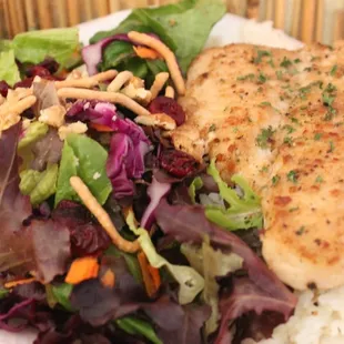 Fish Plate