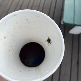 Soft drink special seven brothers style... No ice with a side of bees!