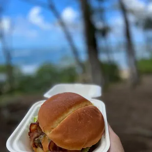 a hand holding a sandwich in a styrofoam container