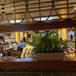 people eating in a restaurant