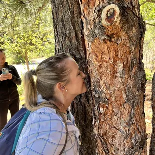 Smell the ponderosa pines! They smell like butterscotch