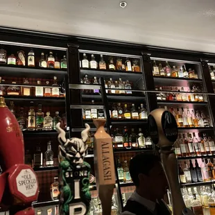a man standing in front of a wall of liquor bottles