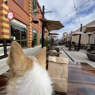 Great outdoor sitting area