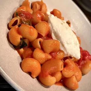 Maccheroncelll $26 Crushed tomato, chili, basil, house made ricota