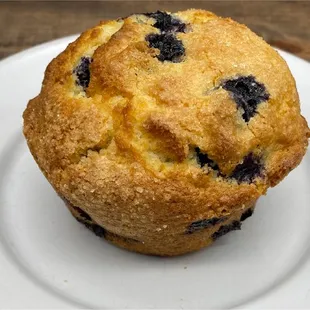 Gluten Sensitive Blueberry Muffin