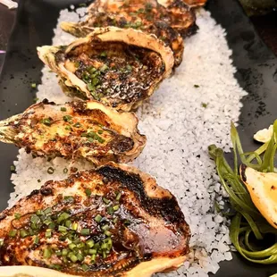 Charbroiled oysters