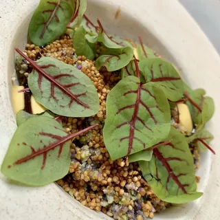Cauliflower Tartare