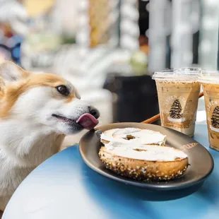 Delicious lattes and bagels!