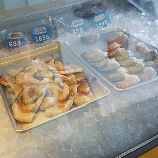 Huge prawns!
