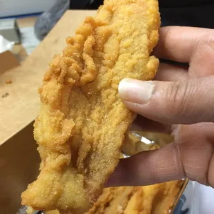 a hand holding a piece of fried fish