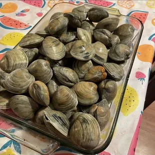 Middle Neck Clams