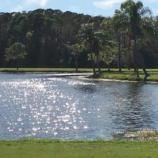 18 hole looking back to 17 on Champion course