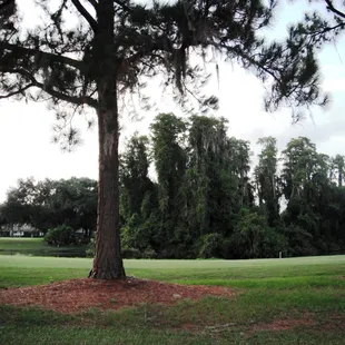 Hole 3 on Champion Course. Dogleg lake view