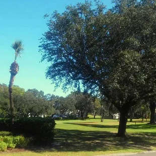 Taken 10/25/2017 - Champion Course Par 72