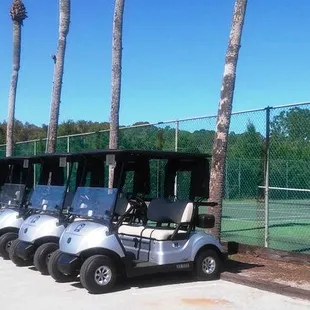 New Golf Carts in 2017