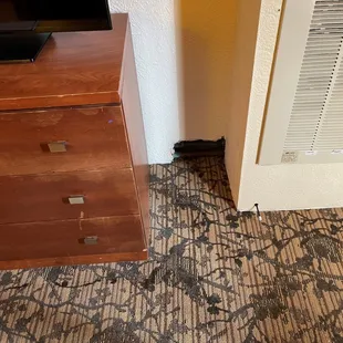 note the stains on the carpet and the big hole in the wall