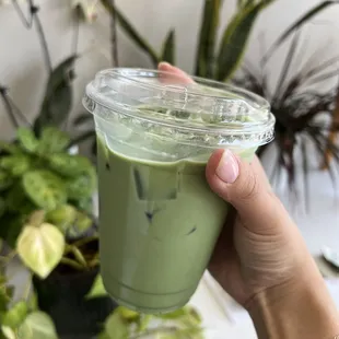Iced Matcha Latte