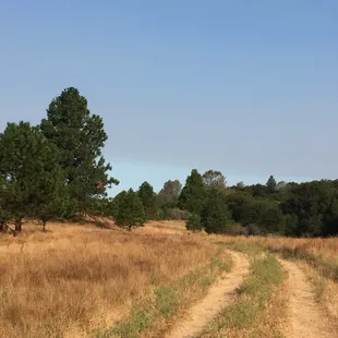 Along the hiking path