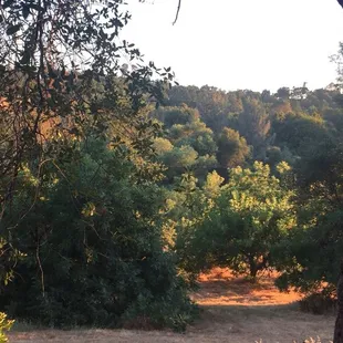 A view from the porch at our cabin
