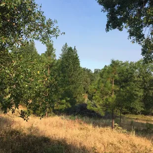 Along the hiking path...