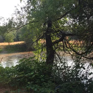 Along the hiking trail