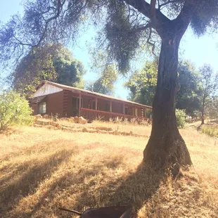 View from the pathway