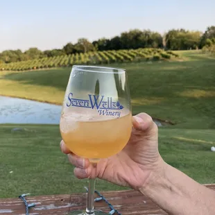 a person holding a glass of wine