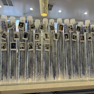 Doggy photos by cups.