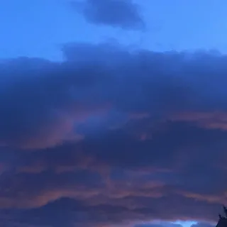 B T.
