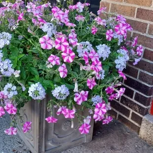 Pretty arrangement.