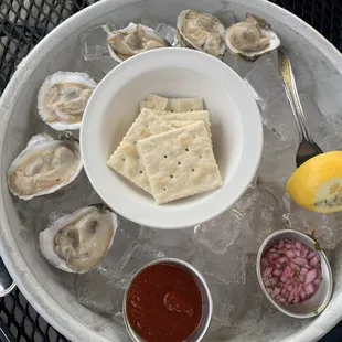 Oyster