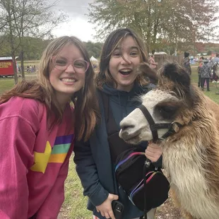 llama, me and a friend
