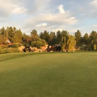 18th Green