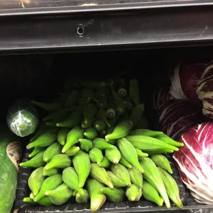 Fresh Okra!
